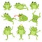 Cute frogs. Green funny frogs in various poses, happy animals group. Smiling active toads, zoo carnivore cartoon vector