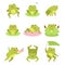Cute frogs. Lotus flowers and funny cartoon toad character, different poses aquatic reptile, wild fauna, happy frogling