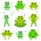 Cute frogs set. Vector illustration