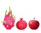 Cute fruits-apple, dragon fruit, pomegranate