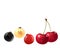 Cute fruits-cherry, red currant, white currant, black currant