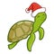 Cute and funny adult turtle wearing Santa`s hat for Christmas swimming