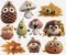 cute funny autumn objects with eyes, like acorn, leaf, pumpkin, hedgehog, pine cone and mushroom, isolated on white background