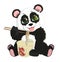 Cute funny baby panda eating Chinese noodles. White background