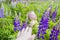 Cute and funny baby in plants. Large and beautiful lupine flowers. Portrait of child.