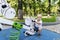 Cute funny blond little young toddler kid child boy sitting and riding on swing in playground.Children physical,emotional