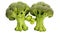 Cute funny broccoli characters isolated on transparent background with clipping path.