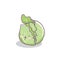 Cute funny cabbage vegetable cartoon kawaii style