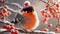 Cute funny cartoon bullfinch bird snowy branch fun design holiday winter snow