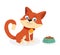 Cute funny cartoon character red cat with an award medal, Cat with bowl of food, Kitten eats food from bowl isolated on white back