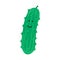 Cute, funny cartoon cucumber character