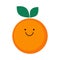 Cute, funny cartoon orange character