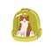 Cute funny cat sitting inside backpack, feline animal carrier with window. Amusing kitty travels in transparent bag