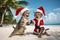 Cute funny cats wearing Santa Claus hats and celebraiting on the tropical beach with palm trees. Christmas card concept