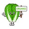 Cute funny Chinese cabbage with an inscription organic character. Vector hand drawn traditional cartoon vintage, retro