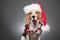 Cute funny christmas dog.