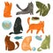 Cute and funny colorful cats set