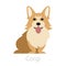 Cute funny corgi dog breed. Cheerful pet, domestic animal.