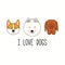 Cute funny corgi, mastiff, Samoyed, puppy faces