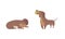 Cute Funny Dachshund Dog et, Adorable Playful Funny Pet Animal Cartoon Vector Illustration