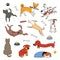 Cute funny different dogs, puppies clipart set