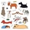 Cute funny different dogs, puppies clipart set
