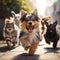 Cute funny dog and cat group jumps and running and happily