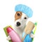 Cute funny dog with shower cap and different accessories for bathing on white background