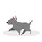 Cute funny dog walking. Puppy character with grey