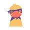 Cute funny duck superhero in costume cartoon character illustration.