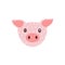 Cute funny face of mini pig. Amusing head portrait of piglet in doodle style. Lovely adorable snout of young domestic