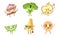 Cute Funny Food Characters Set, Cake, Broccoli, Apple, Lime, Cheese, Orange Vector Illustration