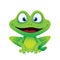 Cute Funny Frog Smiling