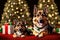 Cute funny german shepherd dog with christmas gift in front of holiday decorated tree, generative ai