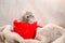 Cute funny gray rat sits in red cup on a soft fluffy light fabric, a symbol of the new year 2020, with copyspace