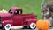 Cute Funny Gray Squirrel poses in Fall Autumn scene with classic red truck and pumpkin