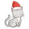 Cute and funny grey cat wearing Santa`s hat for Christmas