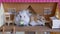 Cute funny hamsters eating cucumbers in the dollhouse toy house. Pets concept