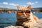 cute, funny, happy, adorable cat, kitty on the beach with humorous sunglasses. summertime, beach palm tree, heat relax