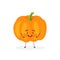 Cute, funny and happy pumpkin set character. Vegetable vector illustration