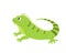 Cute funny iguana on a white background. Vector image in cartoon flat style. Decor for children's posters, postcards