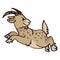 Cute funny jumping brown billy goat about to charge in naive style vector clipart. Alpine baby goat with horns. Kawaii