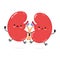 Cute funny kidneys organ jumping character. Vector hand drawn cartoon kawaii character illustration icon. Isolated on