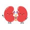 Cute funny kidneys waving hand character. Vector hand drawn cartoon kawaii character illustration icon. Isolated on