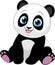 Cute funny little panda baby sitting smiling on a white background