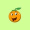 Cute funny orange florida happy expressions. Vector flat line cartoon kawaii