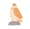 Cute funny owl. Feathered bird sitting on stone, looking, watching. Adorable birdie character gazing. Lovely nice wise