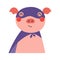 Cute funny pig superhero in costume cartoon character illustration.