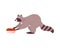 Cute funny raccoon reaches for plate of apples side view flat style