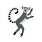 Cute funny ring-tailed lemur jumps. Exotic Lemur catta. Vector illustration in cartoon and flat style